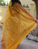 Mango Coloured Narayanpet Silk