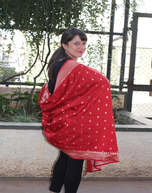 Rich Red  Banarasi Dupion Dupatta with small buttis